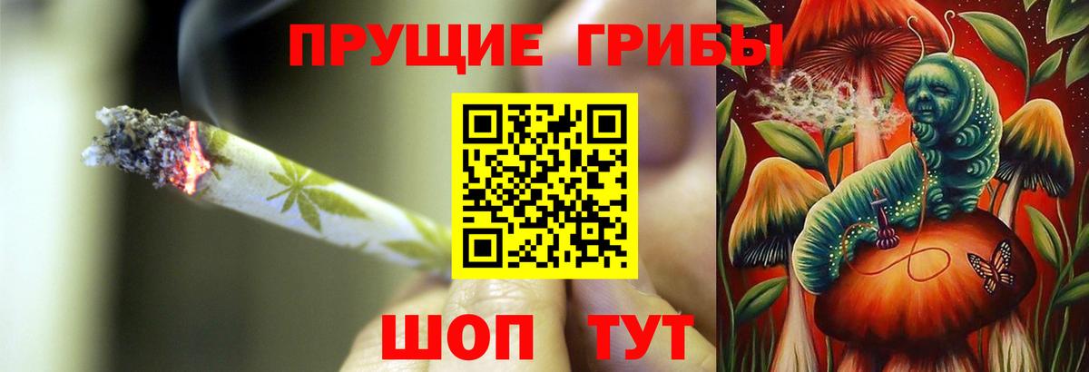 Псилоцибиновые грибы Magic Shrooms Ртищево